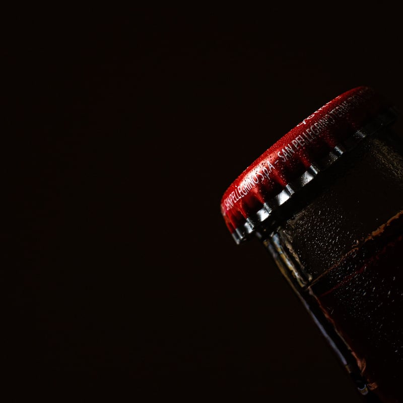 Bottle Cap Earrings